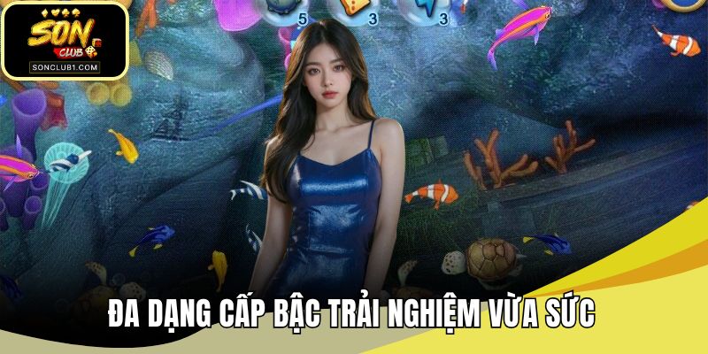 Đa dạng cấp bậc trải nghiệm vừa sức